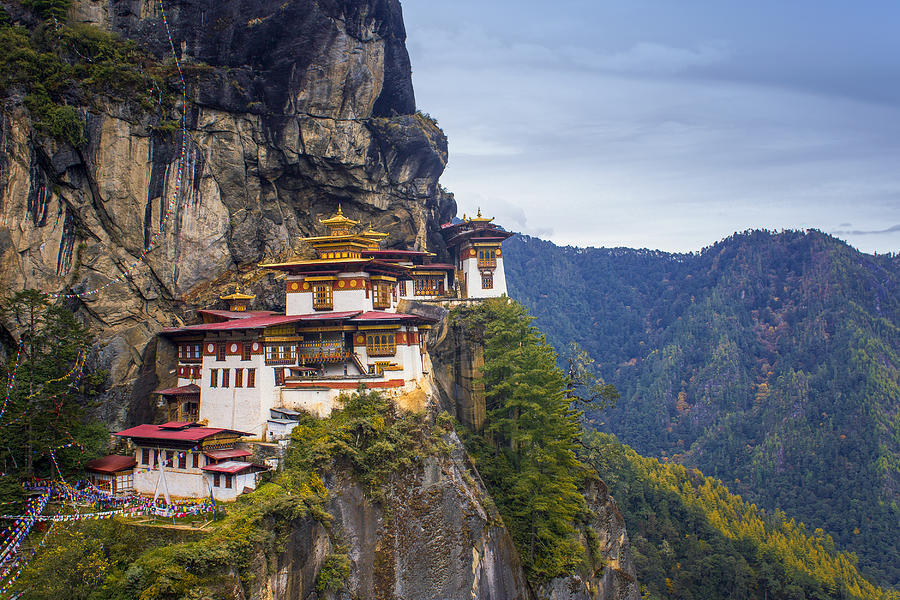 Celebrate Special Day in Bhutan